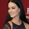 Katy Perry at Sto Dominigo Presidente Fest 2026